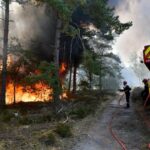 france Wildfire Firefighters battling the Fontainebleau Forest france Wildfire near Paris in July 2026