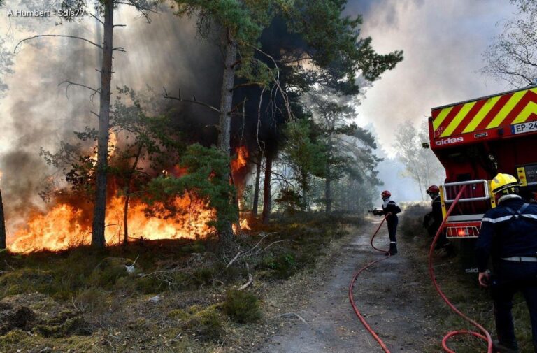 france Wildfire Firefighters battling the Fontainebleau Forest france Wildfire near Paris in July 2026